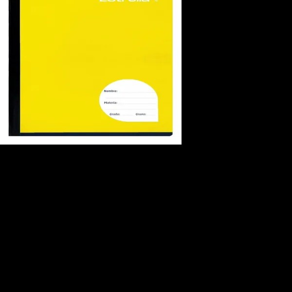 CUADERNO PROF. ESTRELLA C. ALEMAN 0690 COS.100H. PZA